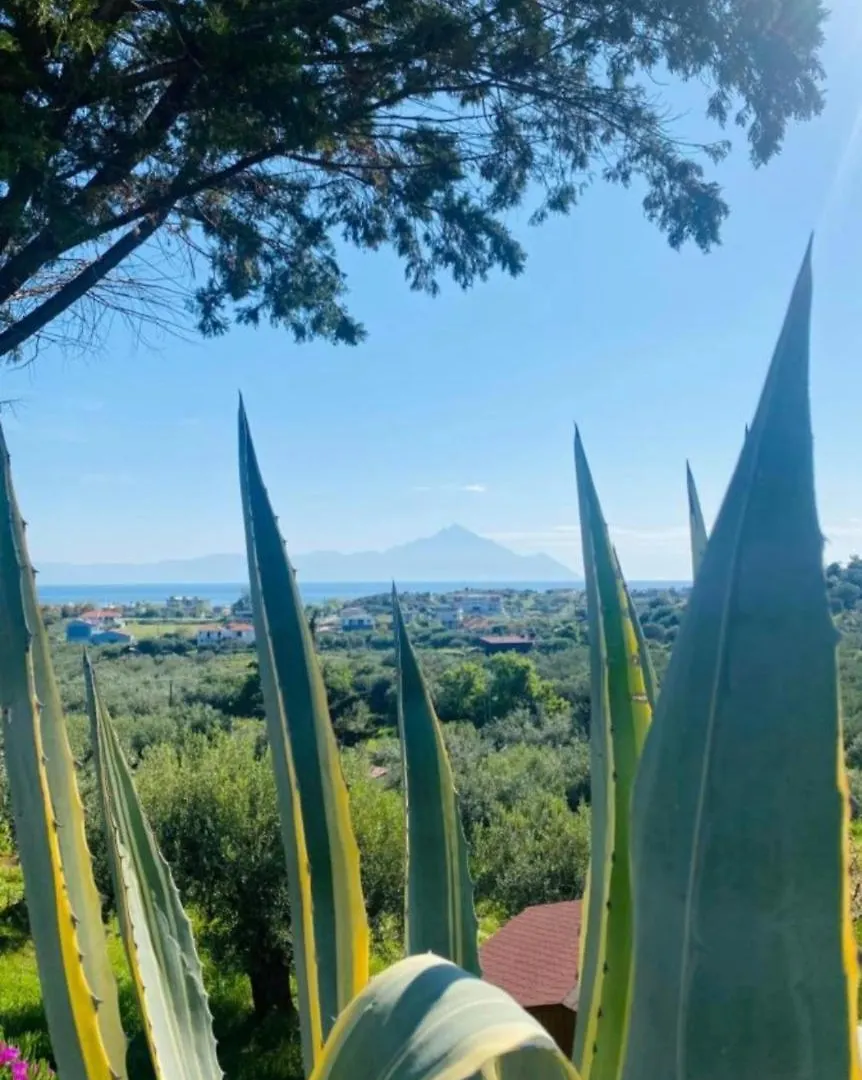 Sartivista Bed & Breakfast  Sarti